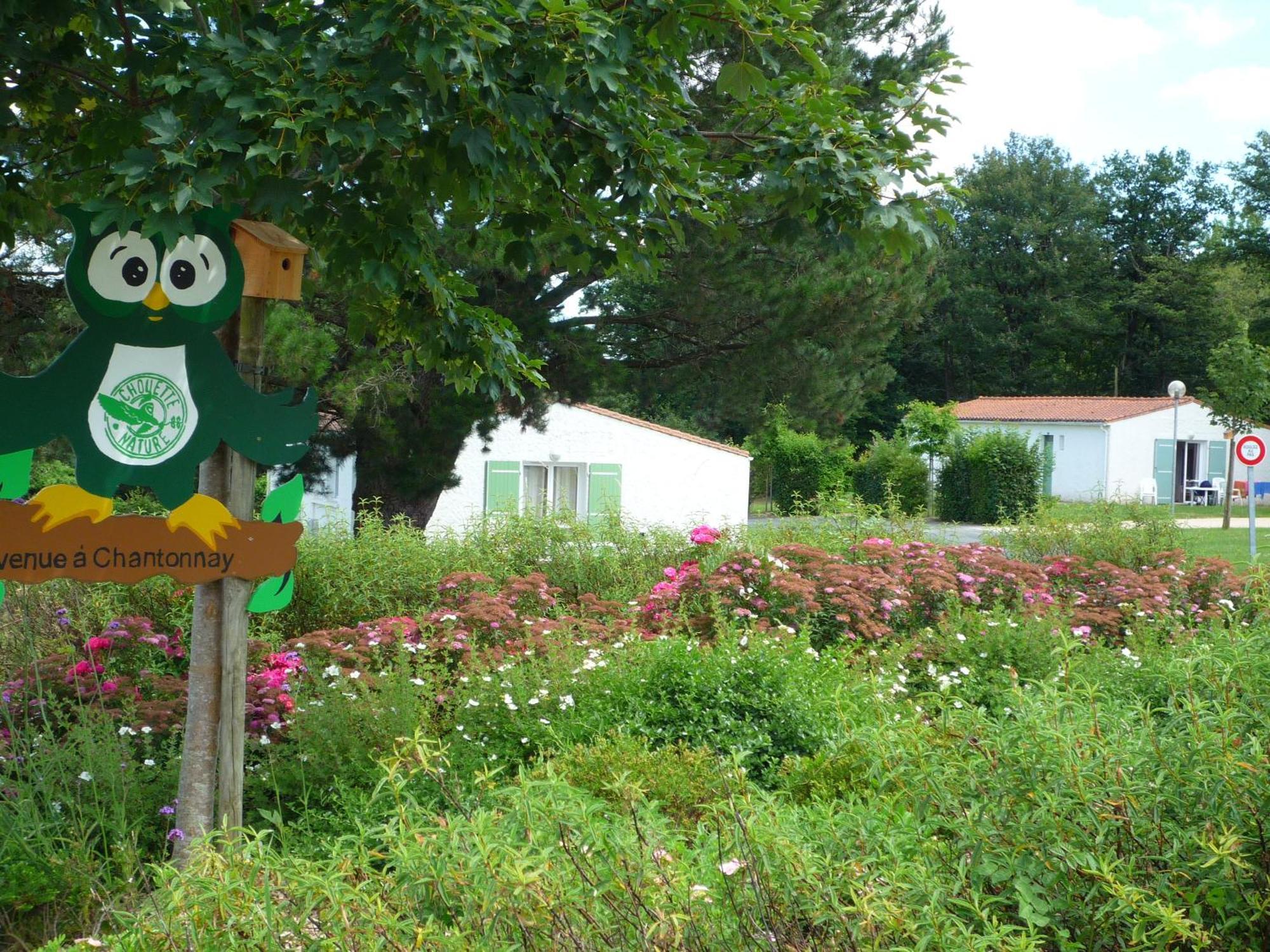 Village Vacances De Chantonnay Bagian luar foto