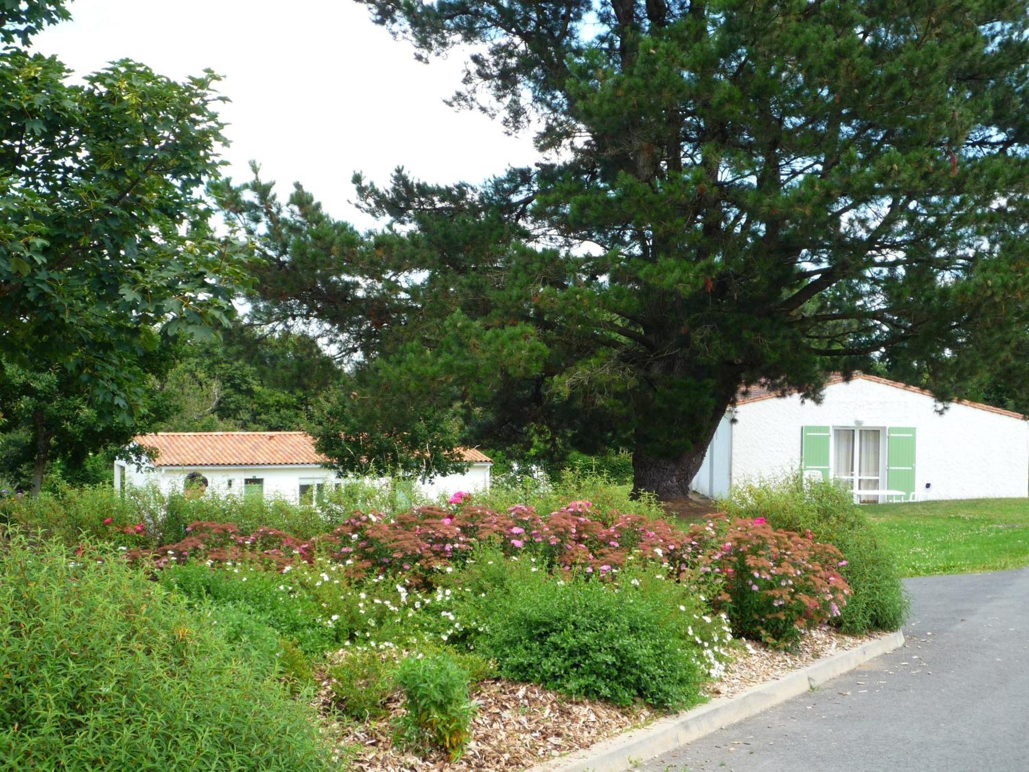 Village Vacances De Chantonnay Bagian luar foto